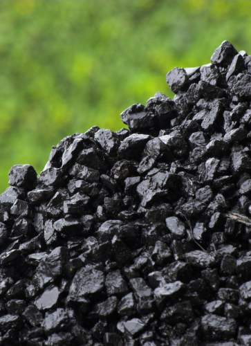 Coal Sourcing Surya Bumi Adhikari